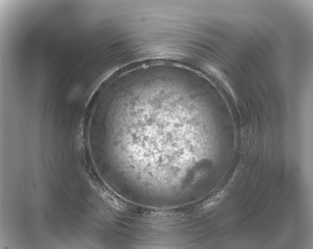 X0000068820875200605081143