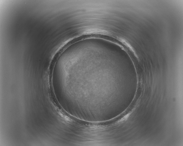 X0000068820877200605081143