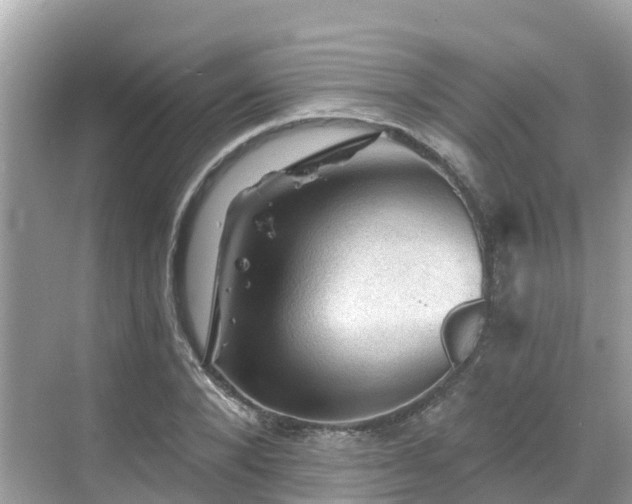 X0000068820880200605081142