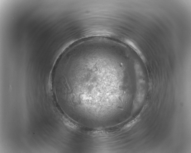 X0000068820883200605081142