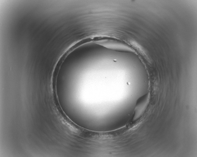 X0000068820884200605081142