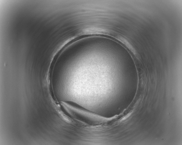 X0000068820885200605081142