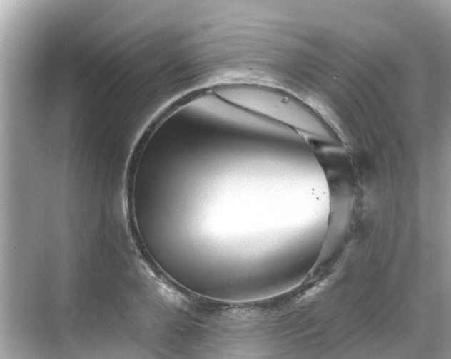 X0000068820888200605081142