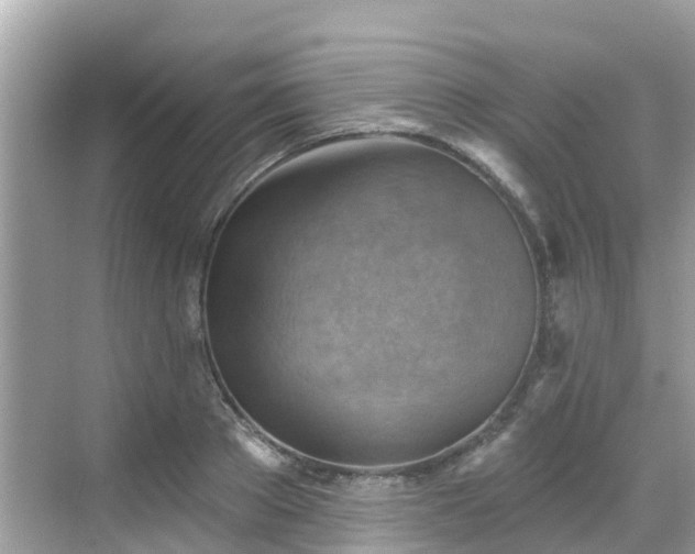 X0000068820889200605081142