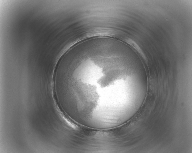 X0000068820890200605081142