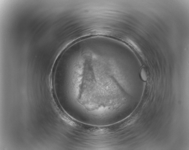 X0000068820891200605081142