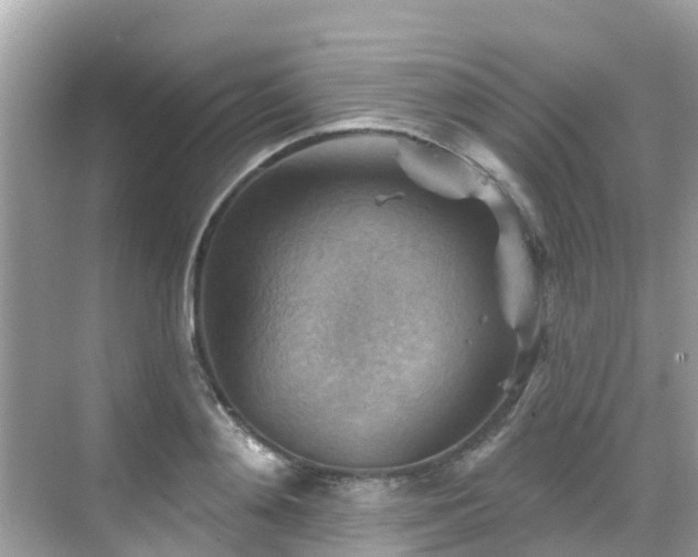 X0000068820892200605081142