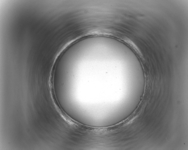 X0000068820893200605081142