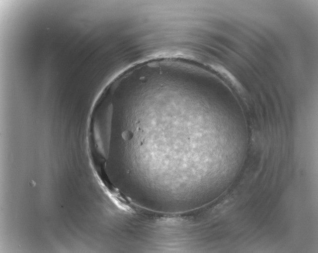 X0000068820894200605081142