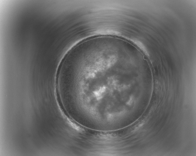 X0000068820895200605081142