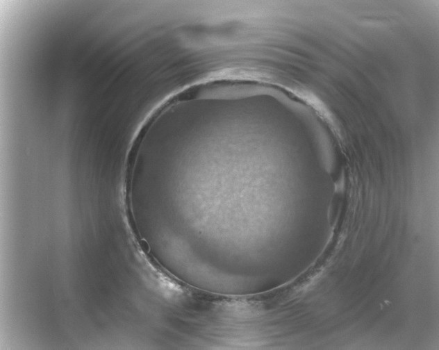 X0000068820896200605081142