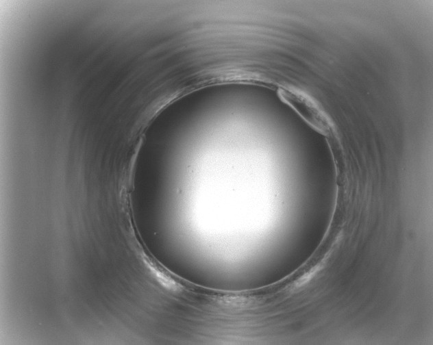 X0000068820897200605081142