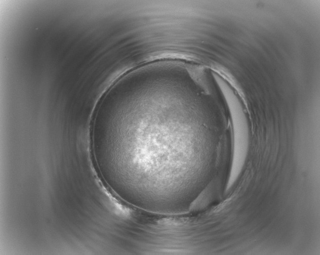 X0000068820898200605081142