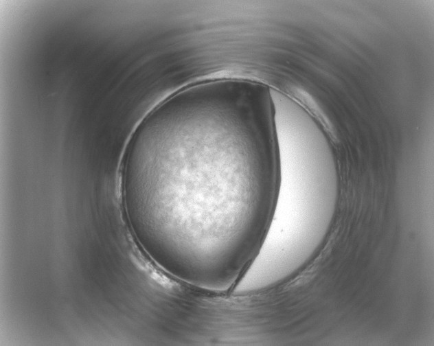 X0000068820900200605081142