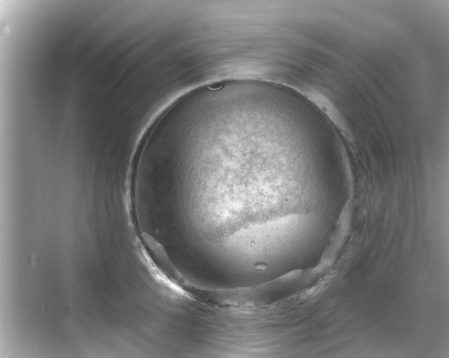 X0000068820904200605081142