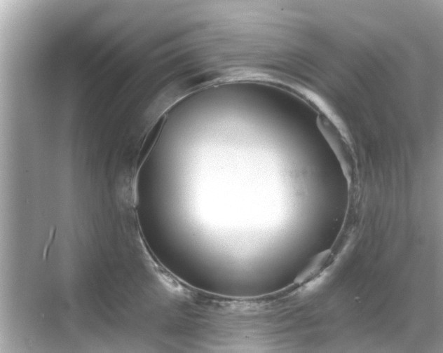 X0000068820905200605081142