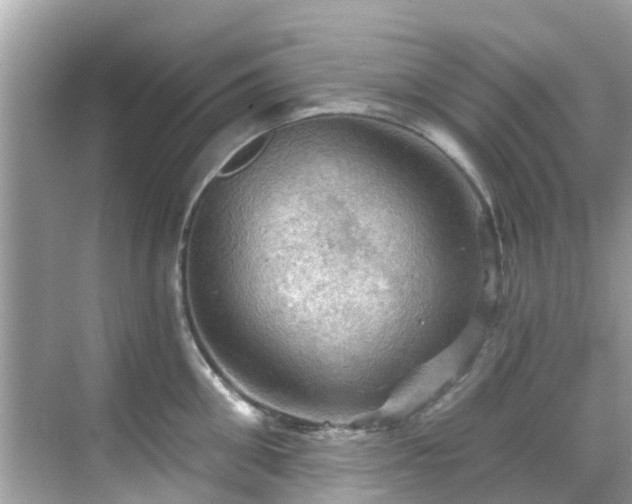 X0000068820906200605081142