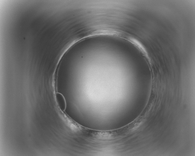 X0000068820907200605081142