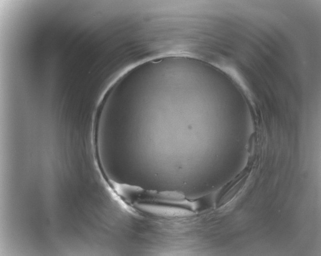 X0000068820910200605081142