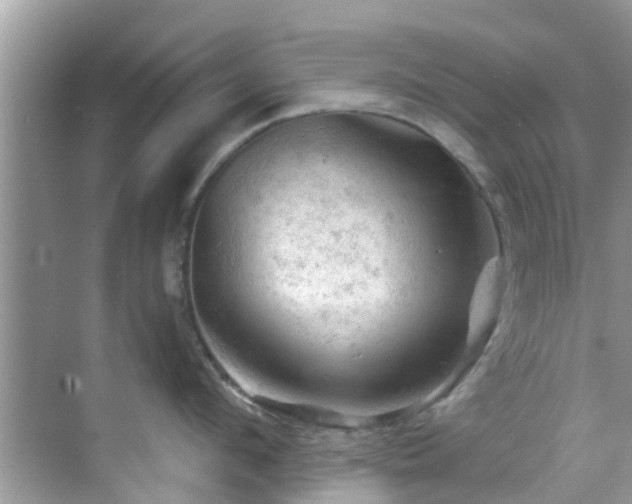 X0000068820912200605081142