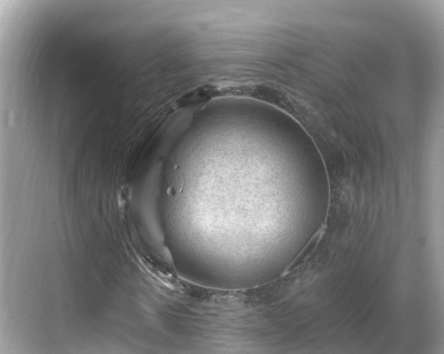 X0000068820914200605081141