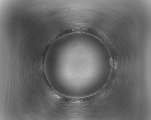 X0000068820915200605081141