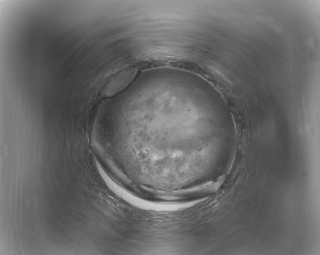 X0000068820917200605081141