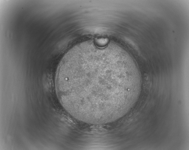 X0000068820918200605081141