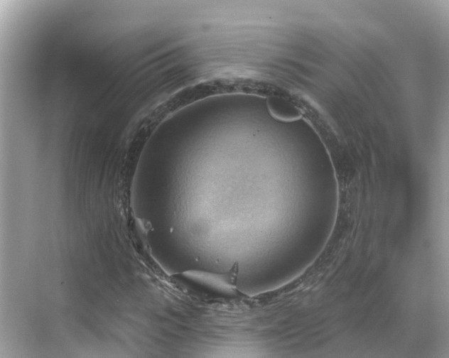 X0000068820919200605081141