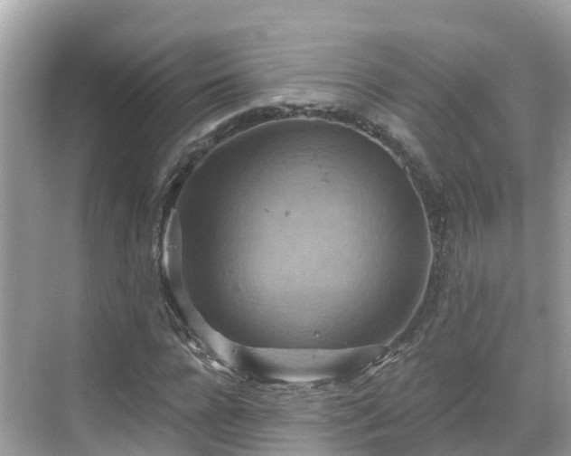 X0000068820920200605081141