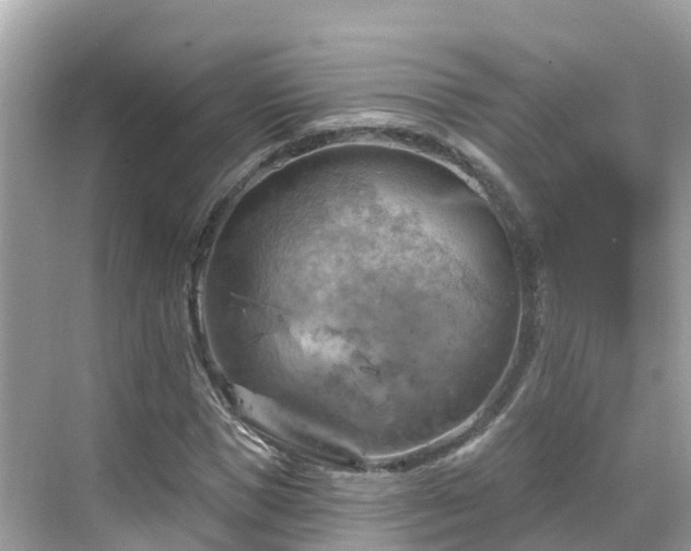 X0000068820921200605081141