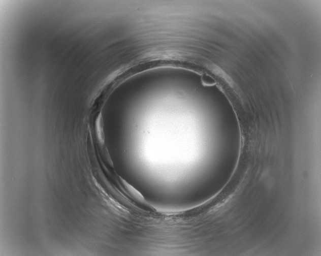 X0000068820922200605081141