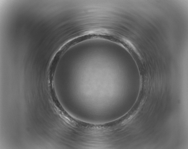 X0000068820923200605081141