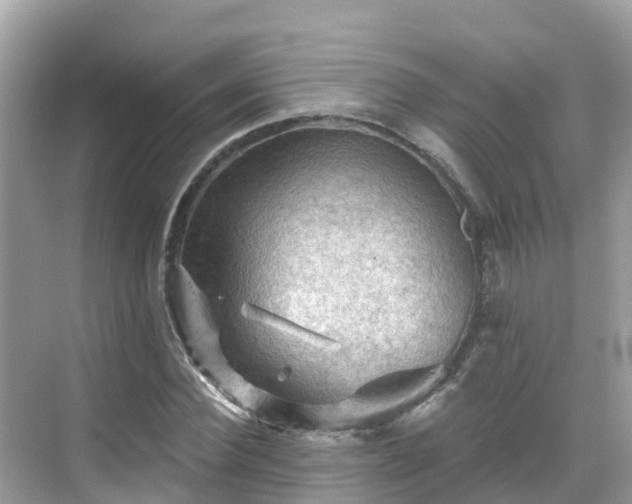 X0000068820924200605081141