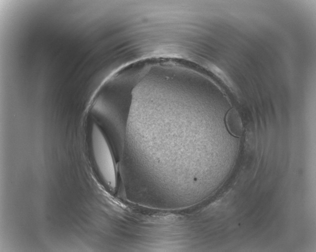 X0000068820926200605081141