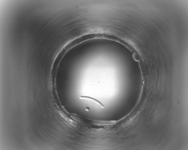 X0000068820927200605081141