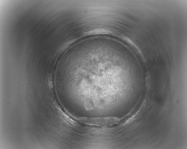 X0000068820929200605081141