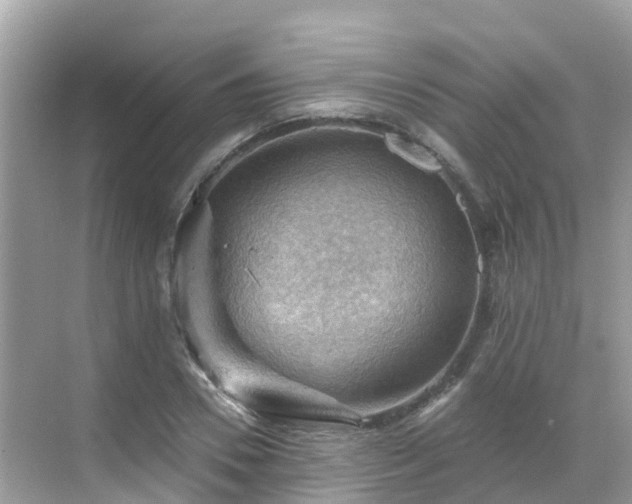 X0000068820930200605081141