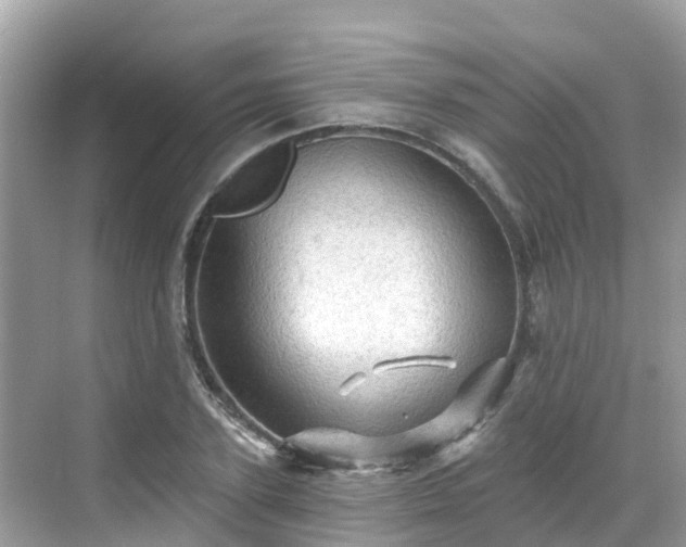 X0000068820931200605081141