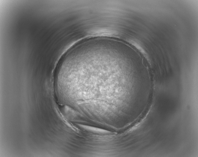 X0000068820933200605081141