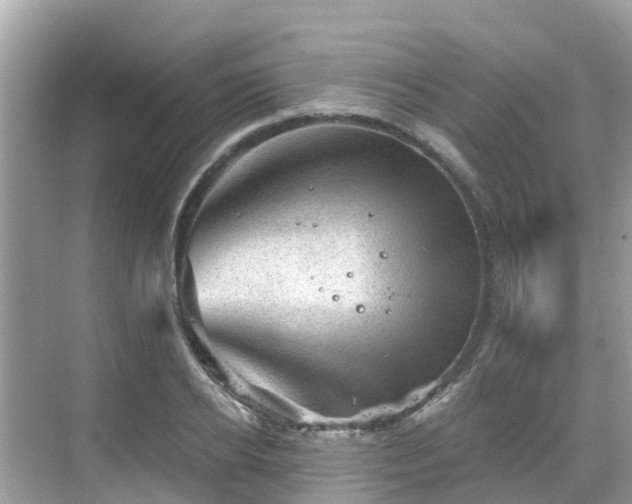 X0000068820934200605081141