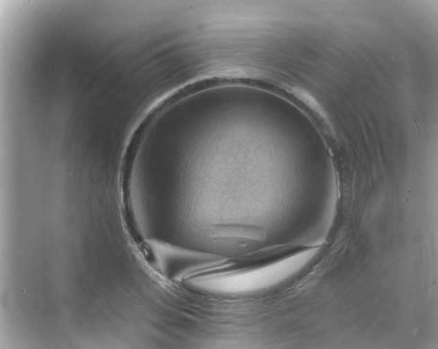 X0000068820935200605081141