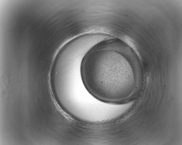 X0000068820936200605081141