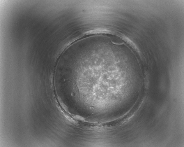 X0000068820937200605081142