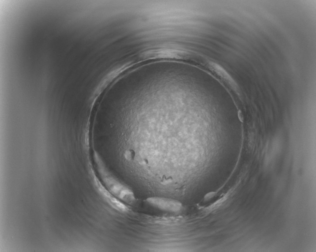 X0000068820938200605081142