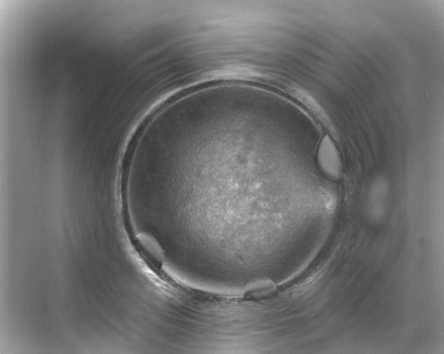 X0000068820939200605081142