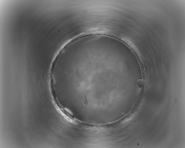 X0000068820941200605081142