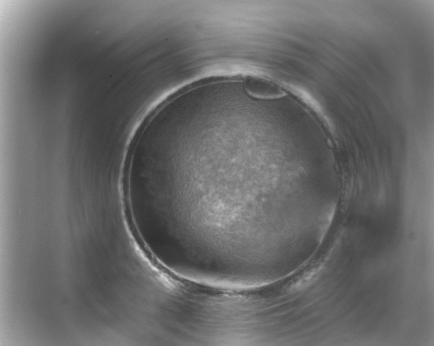 X0000068820943200605081142