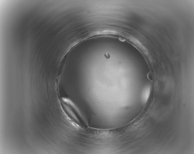 X0000068820945200605081142