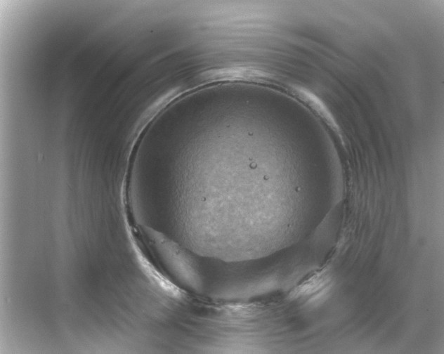 X0000068820946200605081142